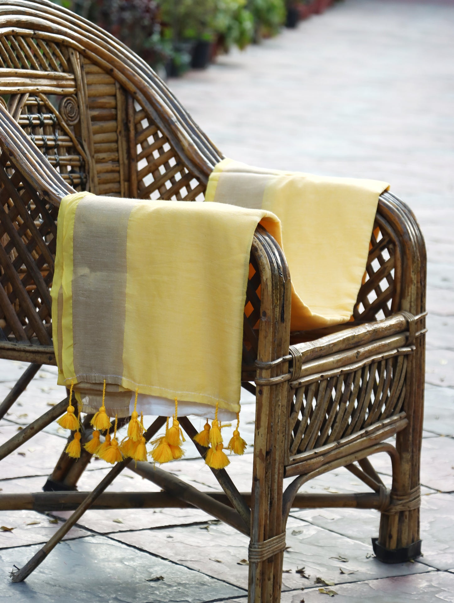 Yellow Ivory Mul Cotton Saree