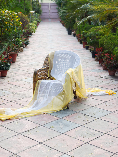 Yellow Ivory Mul Cotton Saree