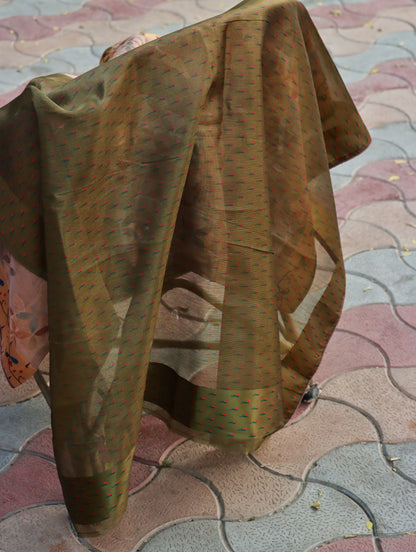 Beige Blossom Garden Organza Saree
